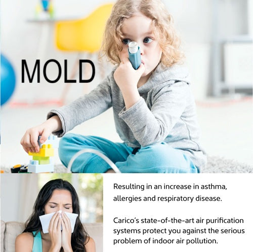 Exposure to Mold and Mold Spores