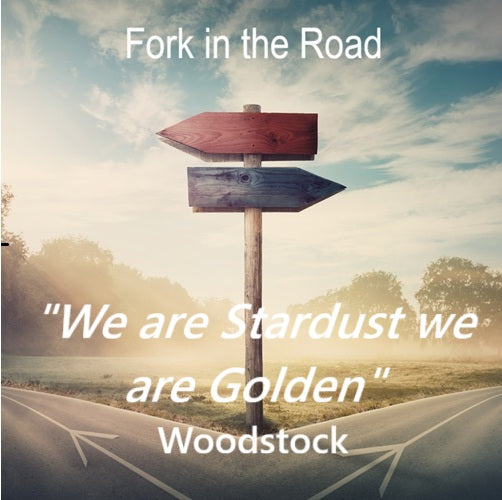 WE ARE STARDUST — WE ARE GOLDEN