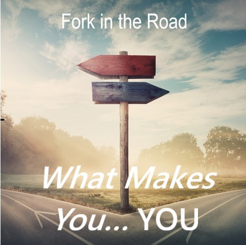 A Biblical, Scientific, and Spiritual Exploration of What Makes You… YOU