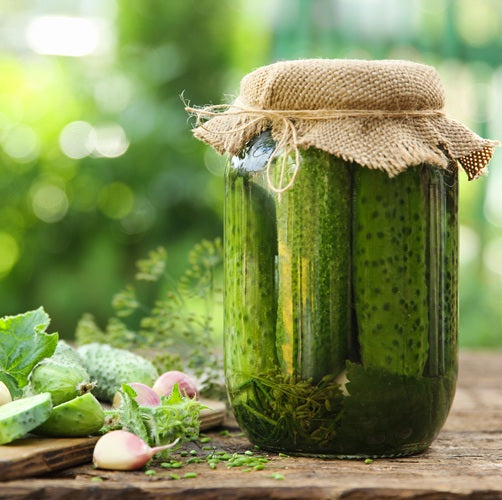Dill Pickles Award Winning Recipe